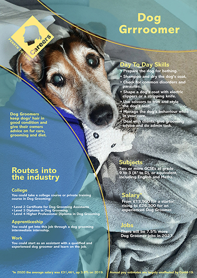 Dog Groomer job poster